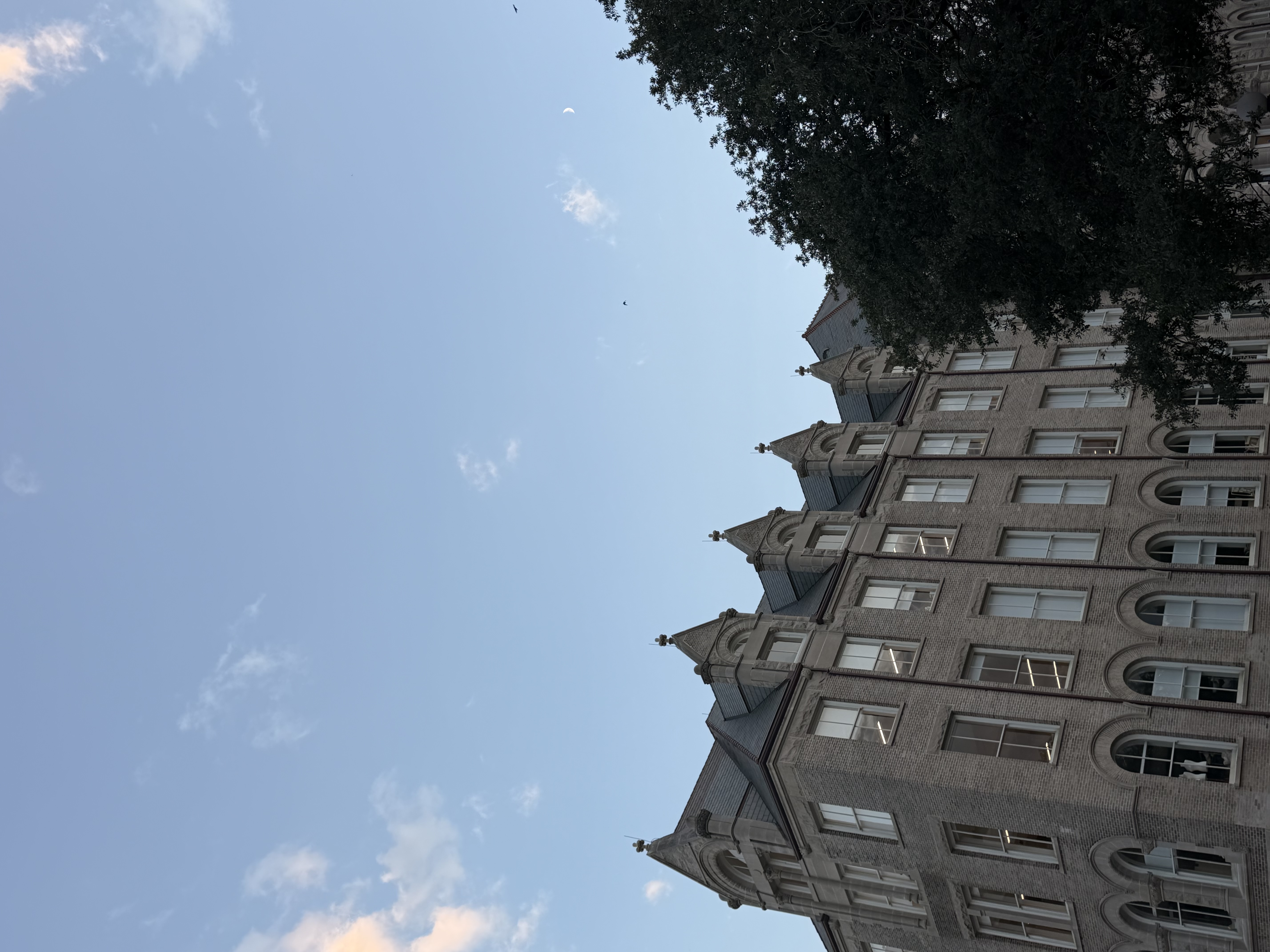 Tulane Campus
